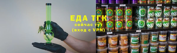хмурый Абаза