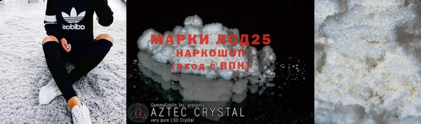 хмурый Абаза