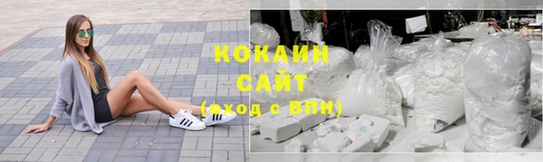 хмурый Абаза