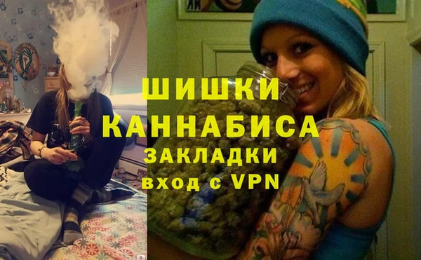 хмурый Абаза