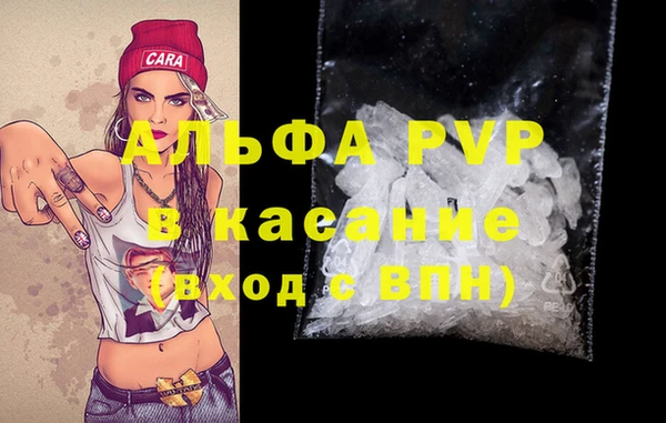стаф Липки
