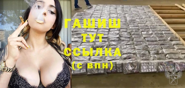 стаф Липки