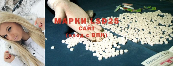 хмурый Абаза