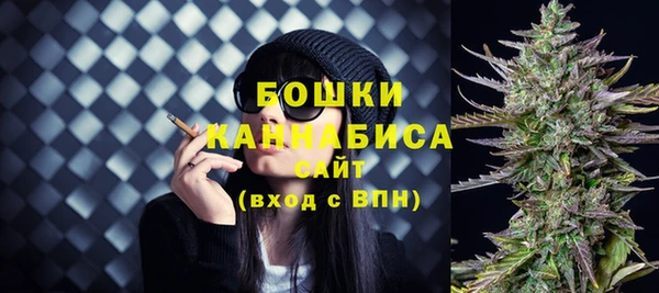 хмурый Абаза
