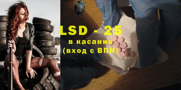 хмурый Абаза