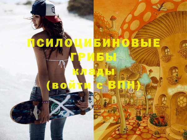 тгк Абинск